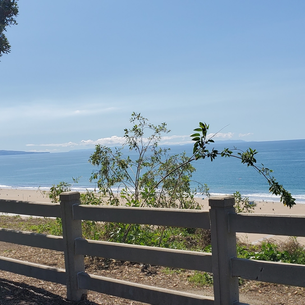 Meet your Posher, Ali